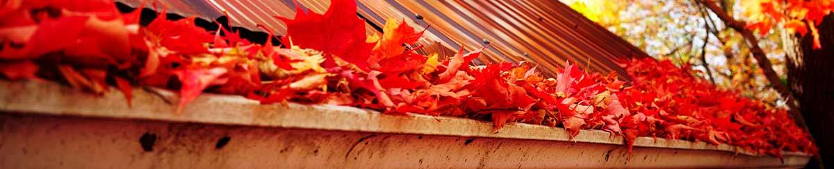 Leaves overflowing in a gutter