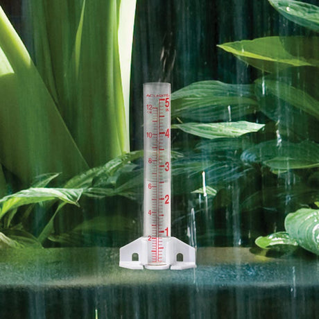 5-inch Capacity Glass Rain Gauge
