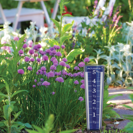 AcuRite 5-inch Capacity Magnifying Acrylic Rain Gauge