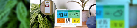 Sneak Peek Part 2! New Weather Stations for 2022!