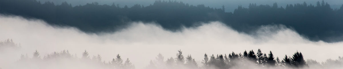 Freezing Fog: The Danger & How to Avoid It
