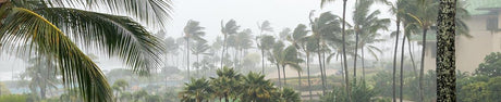 The Eye of the Storm: How Do Hurricanes Form?