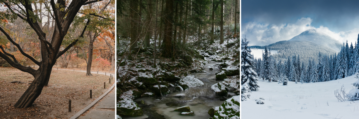 Super El Niño is Coming: Why Your Backyard Could Look Very Different This Winter