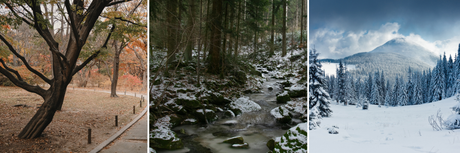 Super El Niño is Coming: Why Your Backyard Could Look Very Different This Winter