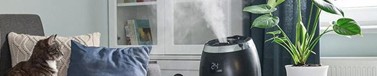 How Indoor Humidity Levels Impact Our Health