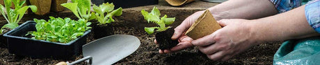 7 unique garden gift ideas