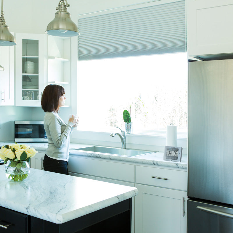 Brushed Stainless Steel Digital Refrigerator and Freezer Thermometer
