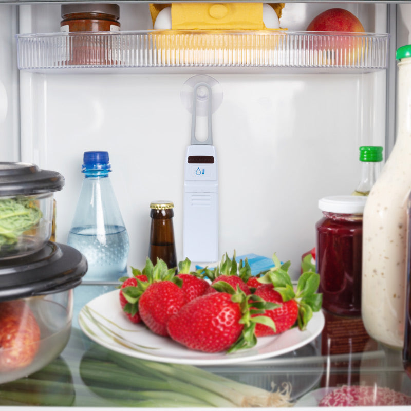 Brushed Stainless Steel Digital Refrigerator and Freezer Thermometer