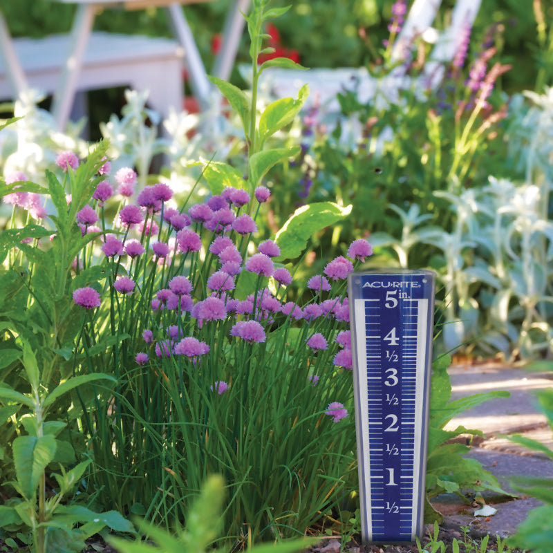AcuRite 5-inch Capacity Magnifying Acrylic Rain Gauge