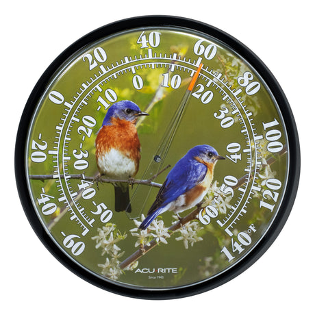 12.5-inch Decorative Thermometer (Various Designs)