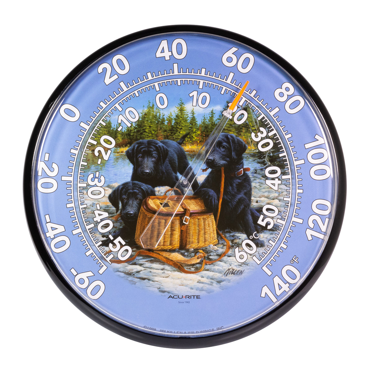 12.5-inch Decorative Thermometer (Various Designs)