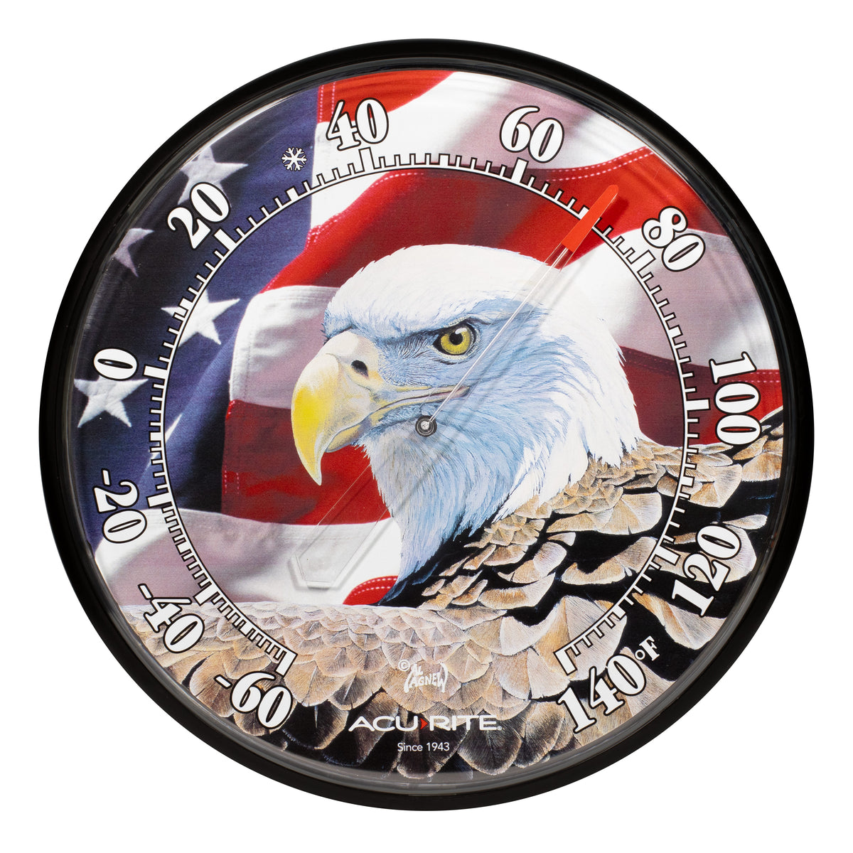 12.5-inch Decorative Thermometer (Various Designs)