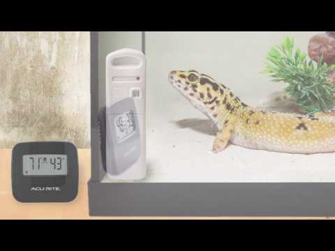 AcuRite 02097M Wireless Thermometer with Indoor/Outdoor Temperature and Humidity Sensor