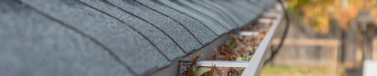 5 Roof Maintenance Tips to Save You Big Bucks
