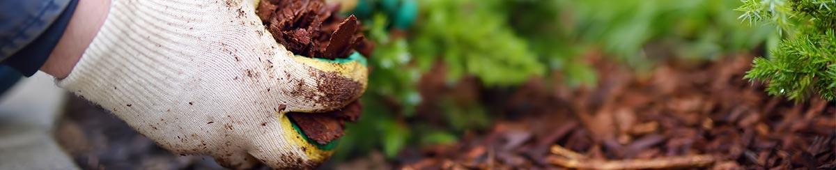 10 Surprising Benefits of Mulch in Your Garden