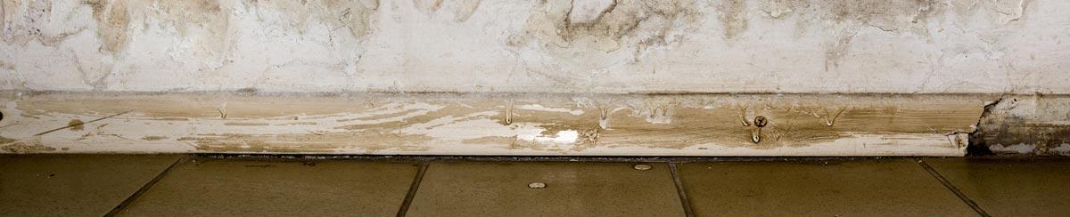 How To Prevent Basement Flooding and What To Do if It Happens