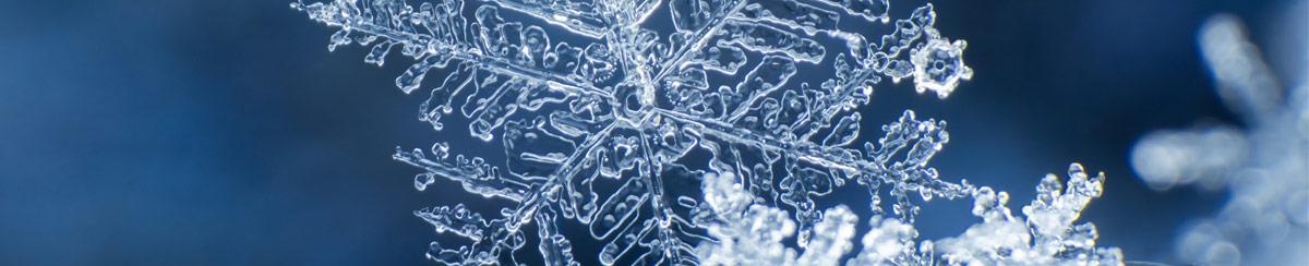 Snowflakes 101: How Do Snowflakes Form?