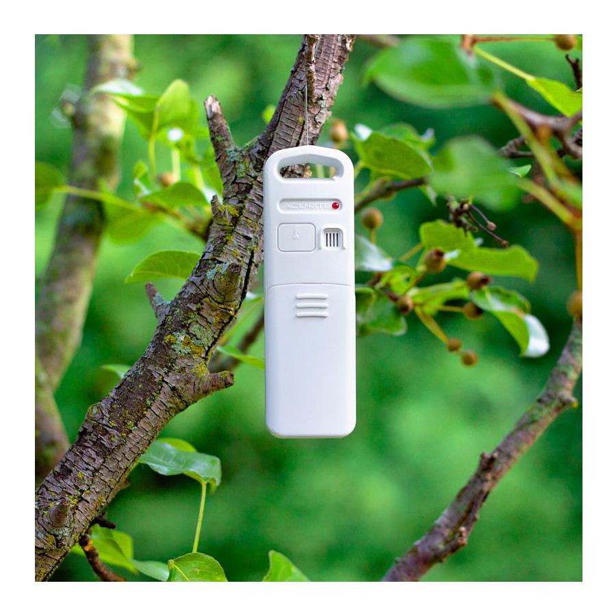 Temperature and Humidity sensor hanging in a bush - AcuRite Weather Monitoring devices