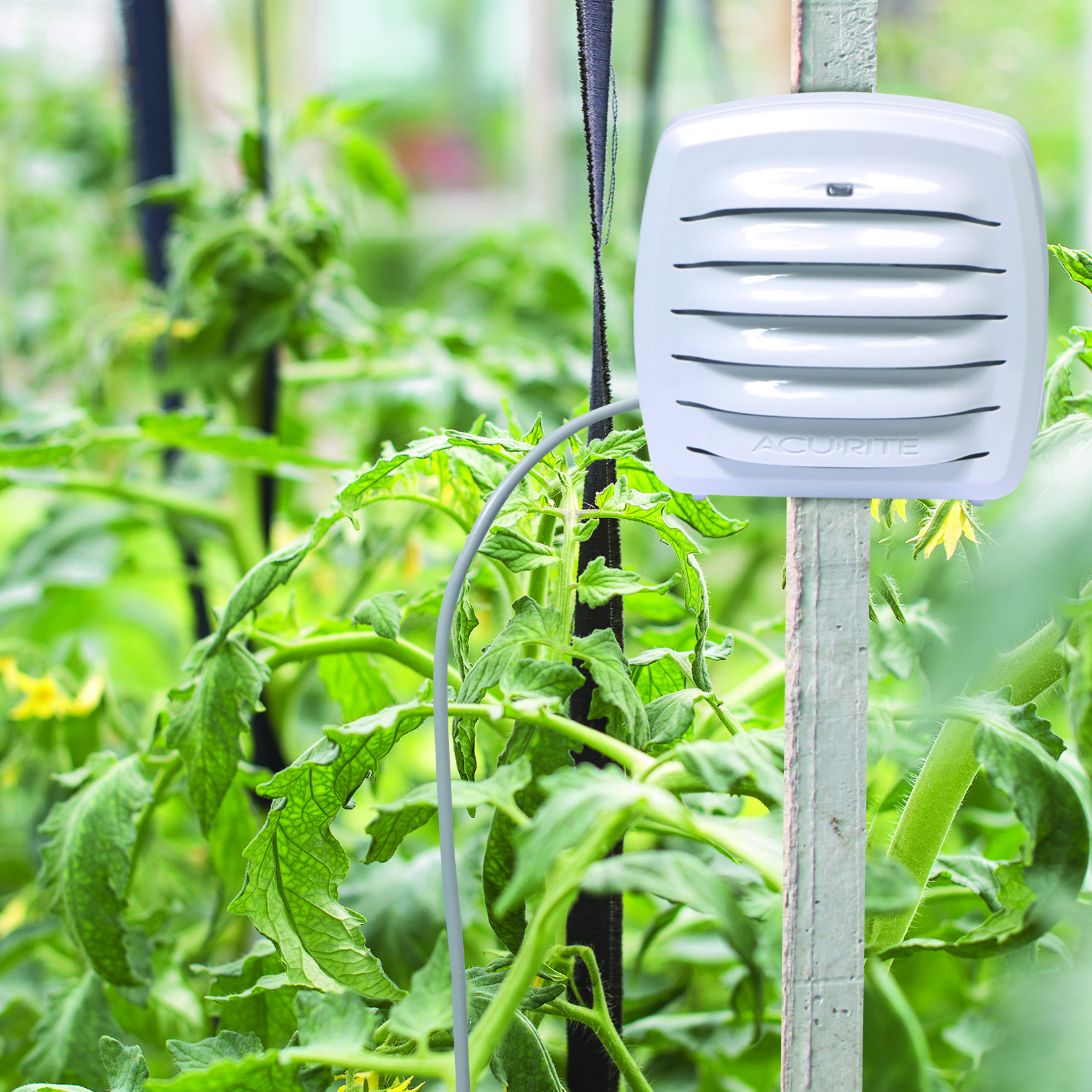 Outdoor Monitor with Liquid & Soil Temperature Sensor mounted on a wooden stake in flowerbed