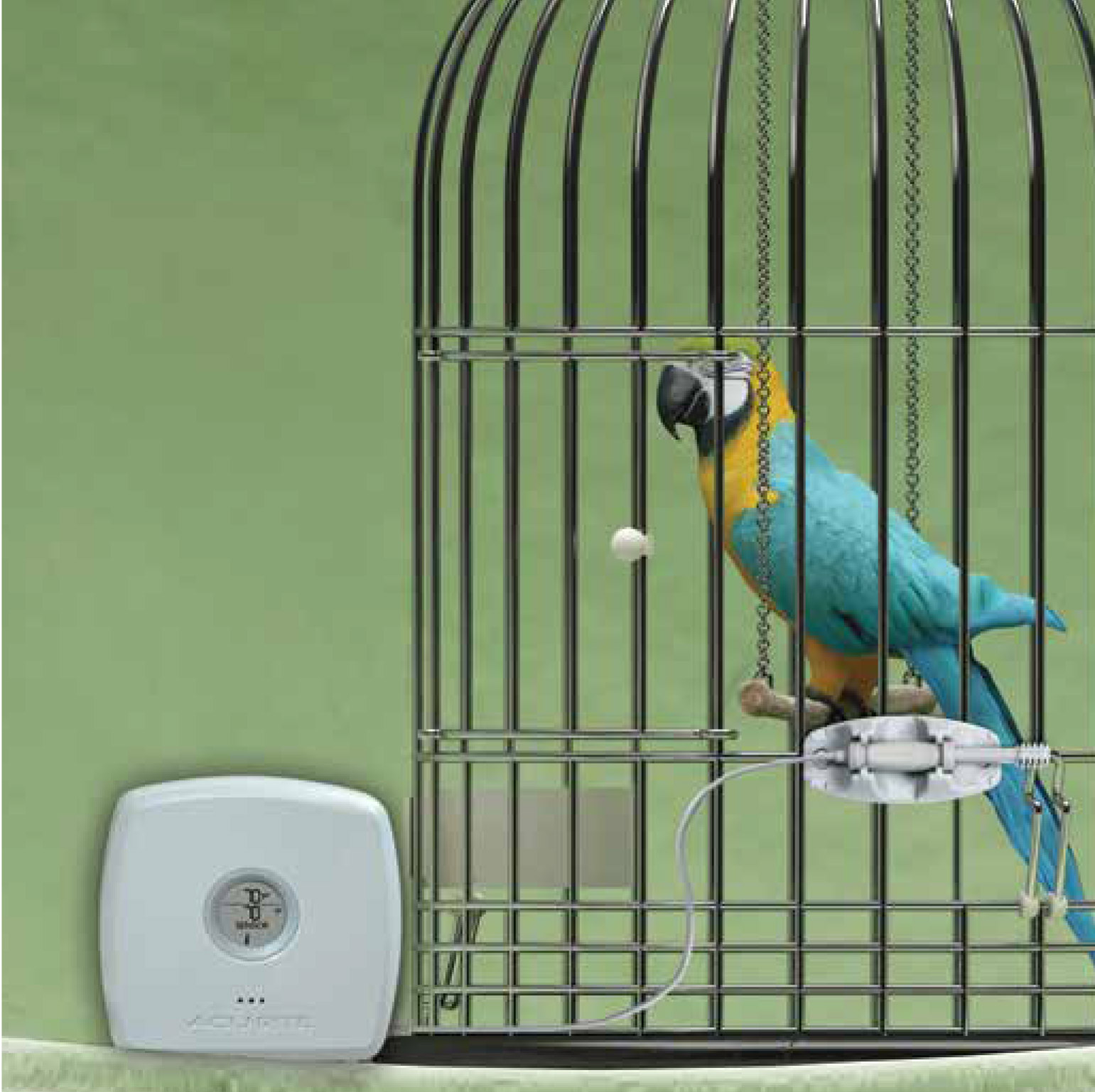 Monitor your birds with AcuRite