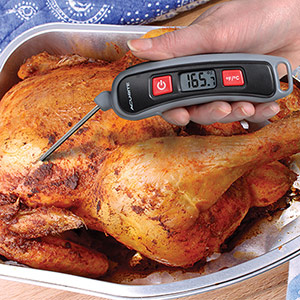 Instant-read food thermometer